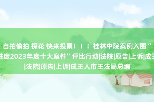 自拍偷拍 探花 快来投票！！！桂林中院案例入围“新期间鞭策法治进度2023年度十大案件”评比行动|法院|原告|上诉|成王人市王法局总编