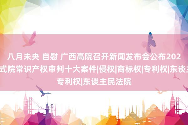 八月未央 自慰 广西高院召开新闻发布会公布2023年广西式院常识产权审判十大案件|侵权|商标权|专利权|东谈主民法院